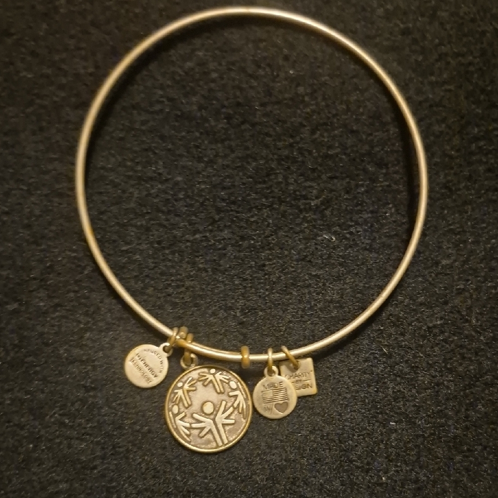 Alex and Ani Silver Charm Bracelet